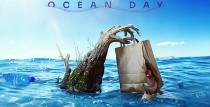 Sydney Freezers Committed to Ocean Protection on World Ocean Day